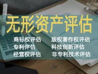 西安无形资产价值评估与相关服务解析