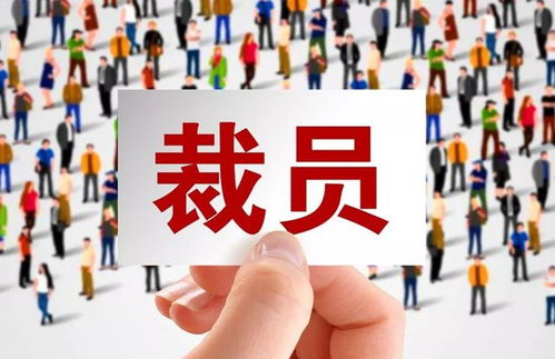 技术壁垒与商业抉择 当自主权遭遇全球市场